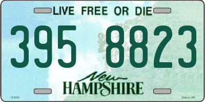 NH license plate 3958823