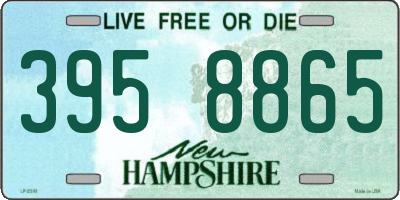 NH license plate 3958865