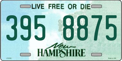 NH license plate 3958875