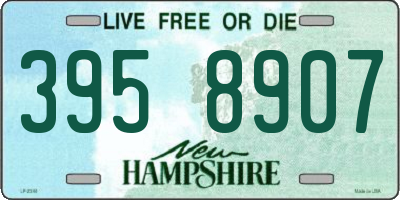 NH license plate 3958907