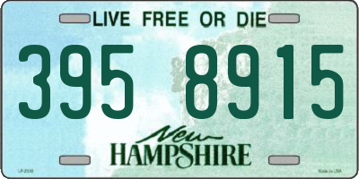 NH license plate 3958915