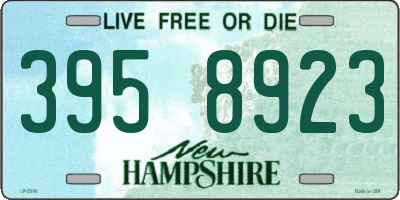 NH license plate 3958923