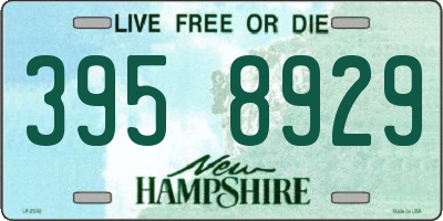 NH license plate 3958929