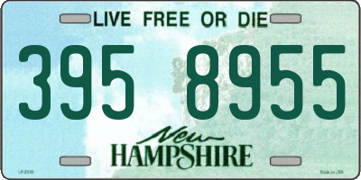 NH license plate 3958955