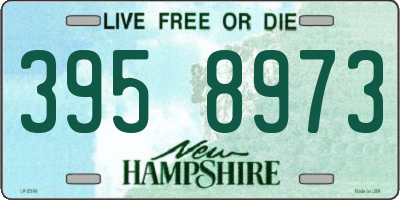 NH license plate 3958973