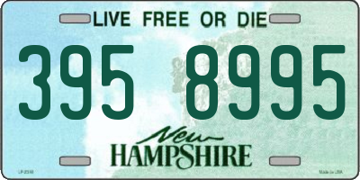 NH license plate 3958995