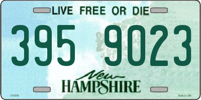 NH license plate 3959023