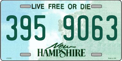 NH license plate 3959063