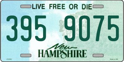 NH license plate 3959075