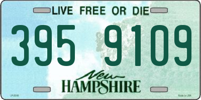 NH license plate 3959109