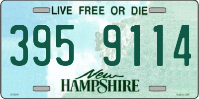 NH license plate 3959114