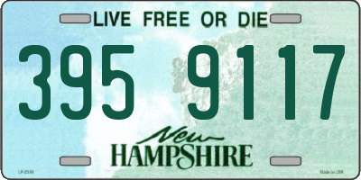 NH license plate 3959117