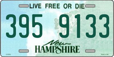 NH license plate 3959133