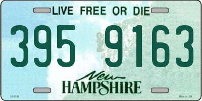 NH license plate 3959163