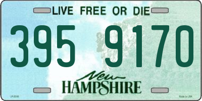 NH license plate 3959170