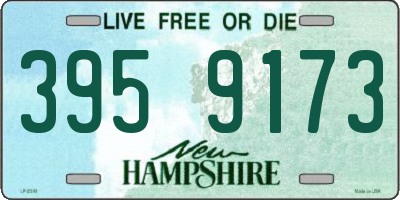 NH license plate 3959173