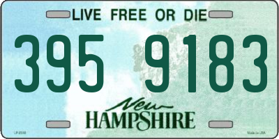 NH license plate 3959183