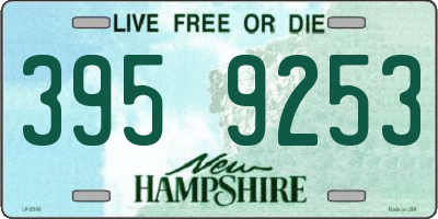 NH license plate 3959253