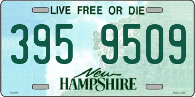 NH license plate 3959509