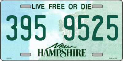 NH license plate 3959525
