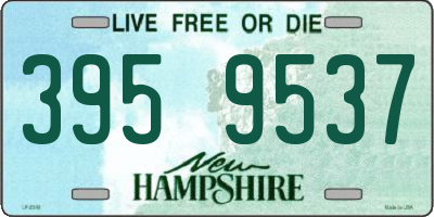 NH license plate 3959537