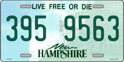 NH license plate 3959563