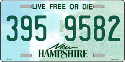 NH license plate 3959582