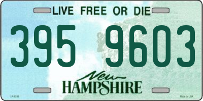 NH license plate 3959603