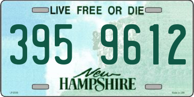 NH license plate 3959612