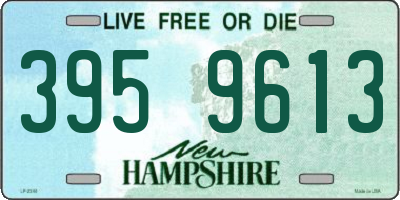 NH license plate 3959613