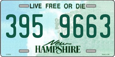 NH license plate 3959663