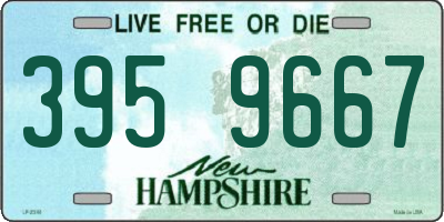 NH license plate 3959667
