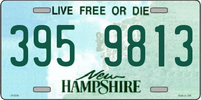 NH license plate 3959813