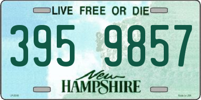 NH license plate 3959857