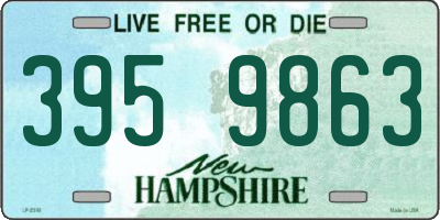 NH license plate 3959863