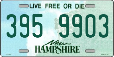 NH license plate 3959903