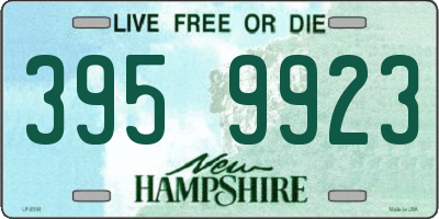 NH license plate 3959923