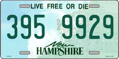 NH license plate 3959929