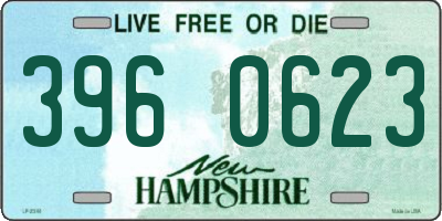 NH license plate 3960623