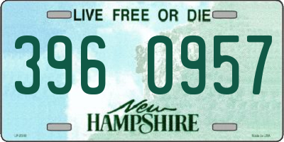 NH license plate 3960957