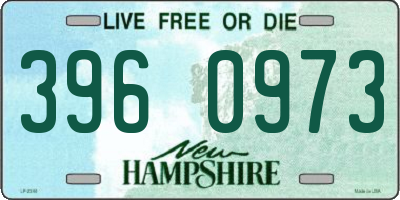 NH license plate 3960973
