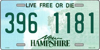 NH license plate 3961181