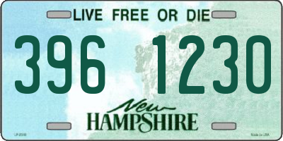 NH license plate 3961230