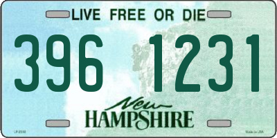 NH license plate 3961231