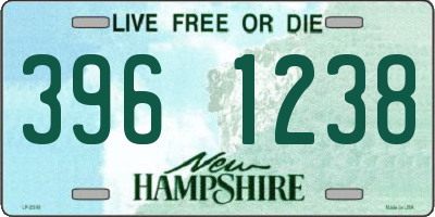 NH license plate 3961238