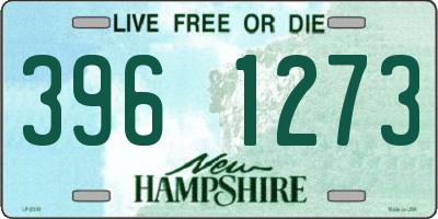 NH license plate 3961273