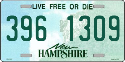 NH license plate 3961309