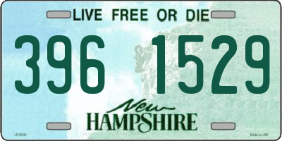 NH license plate 3961529