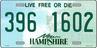 NH license plate 3961602