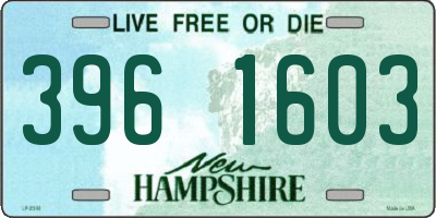NH license plate 3961603